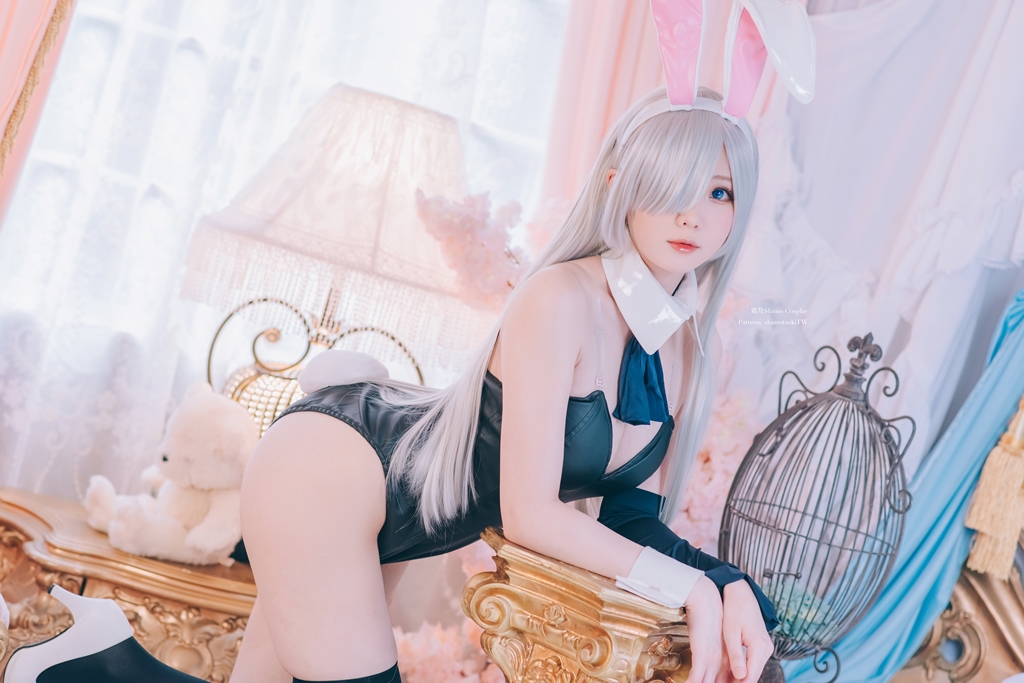 Shimo – Elizabeth Liones Bunny Girl photo 1-3