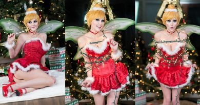 Angie Griffin Tinker Bell Xmas Cover