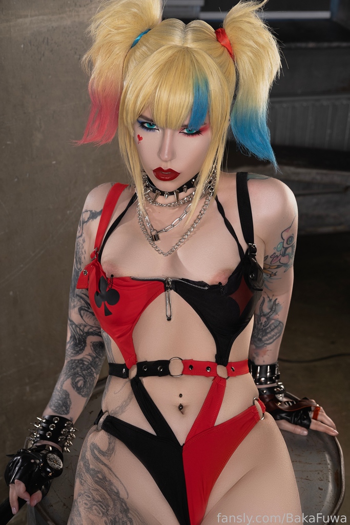 BakaFuwa - Harley Quinn - Mitaku photo 1-13