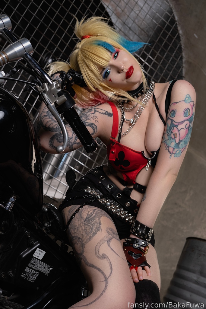 BakaFuwa - Harley Quinn - Mitaku photo 1-19