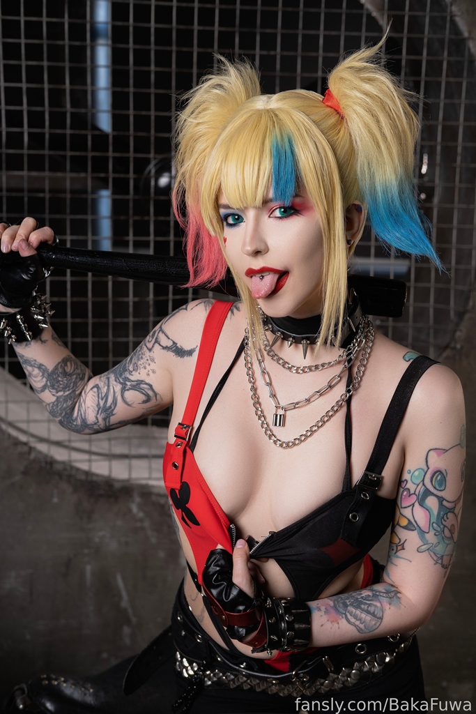 BakaFuwa - Harley Quinn - Mitaku photo 1-5