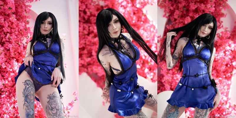 Zirael Rem Tifa Dress Cover