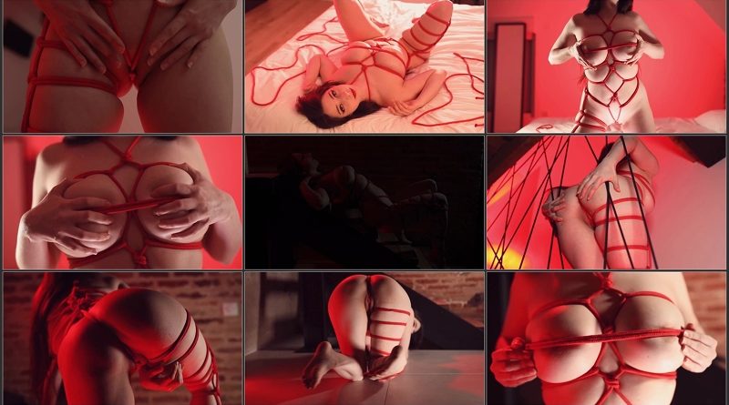 Mikomi Hokina The Red Shibari Cover